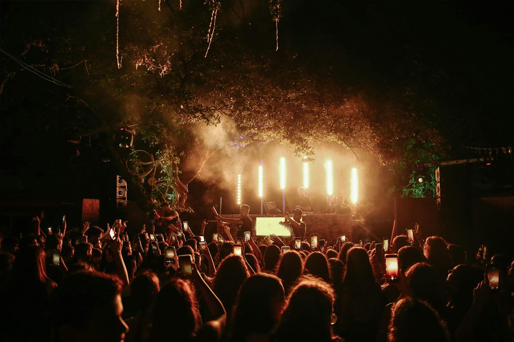crowd 3