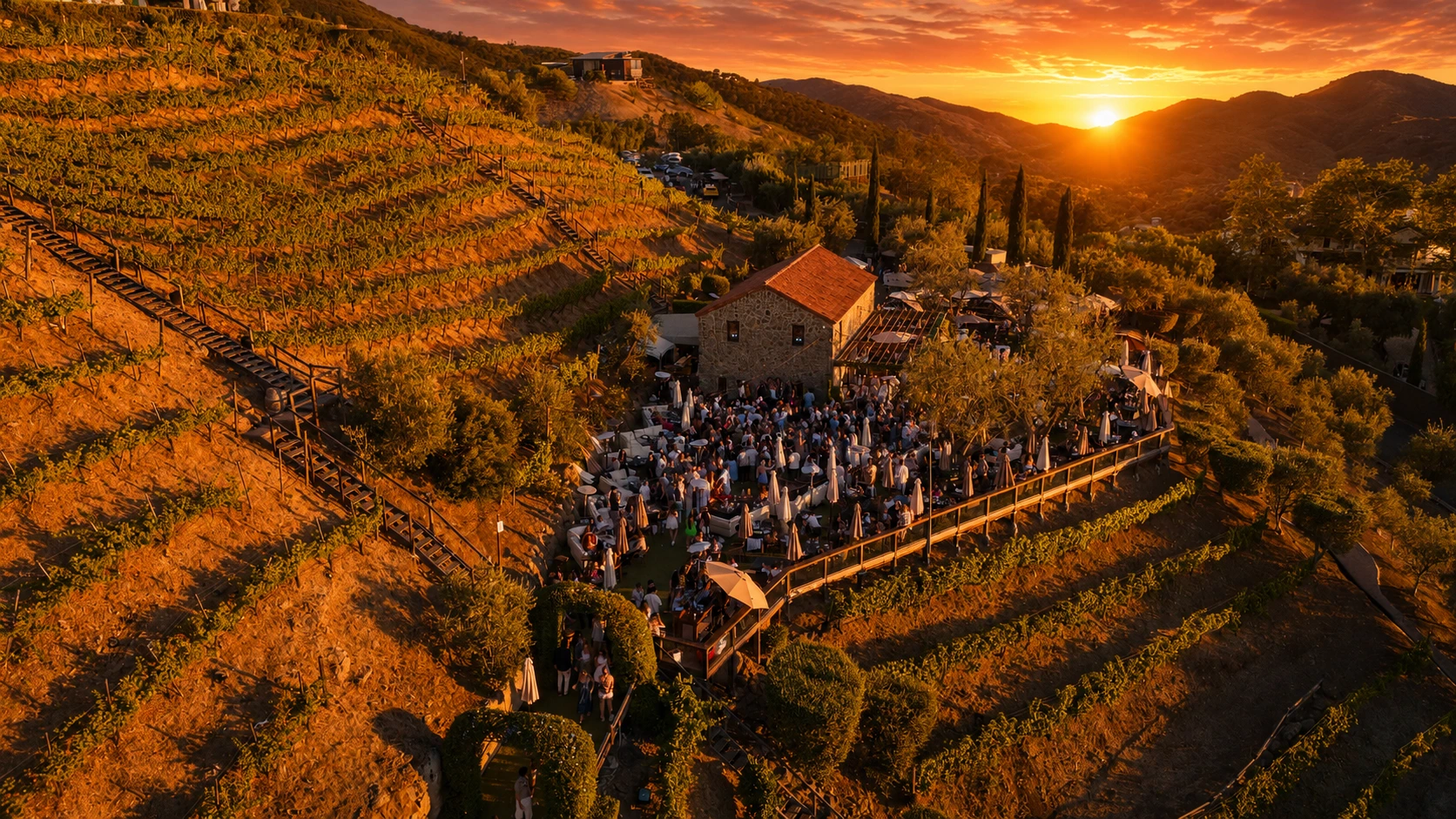 Sunset Social